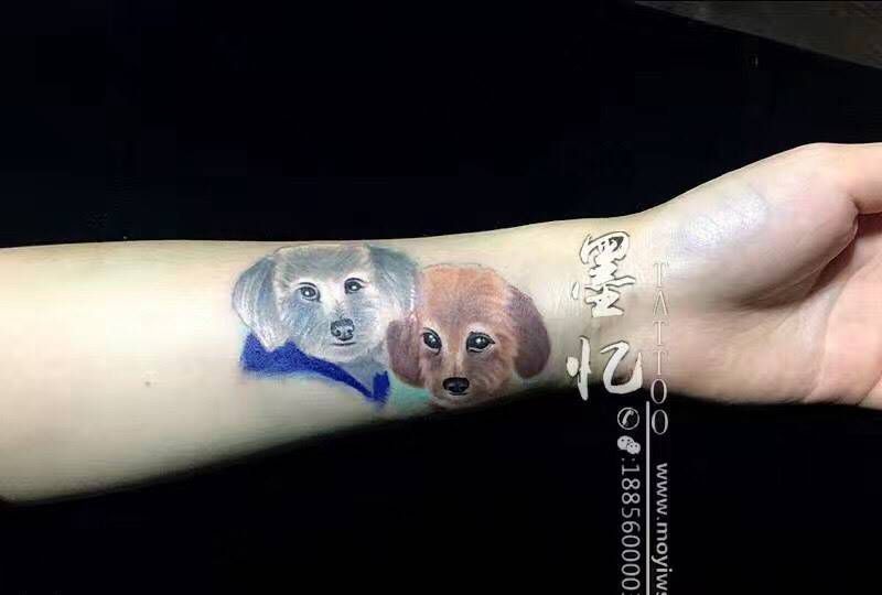 泰迪小狗纹身图片_手臂成品写实清新肖像原创纹身图案