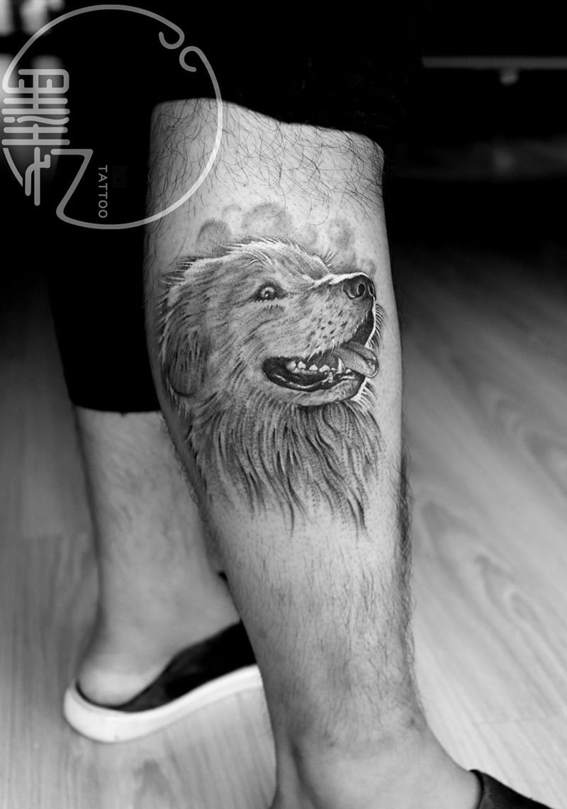 小腿金毛动物写实纹身图片