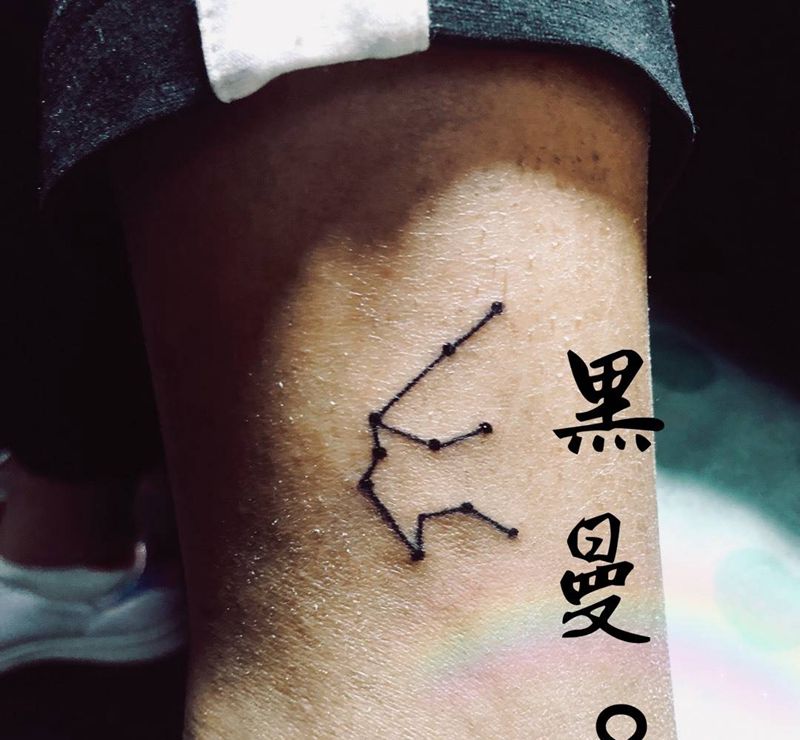 水瓶座纹身图片