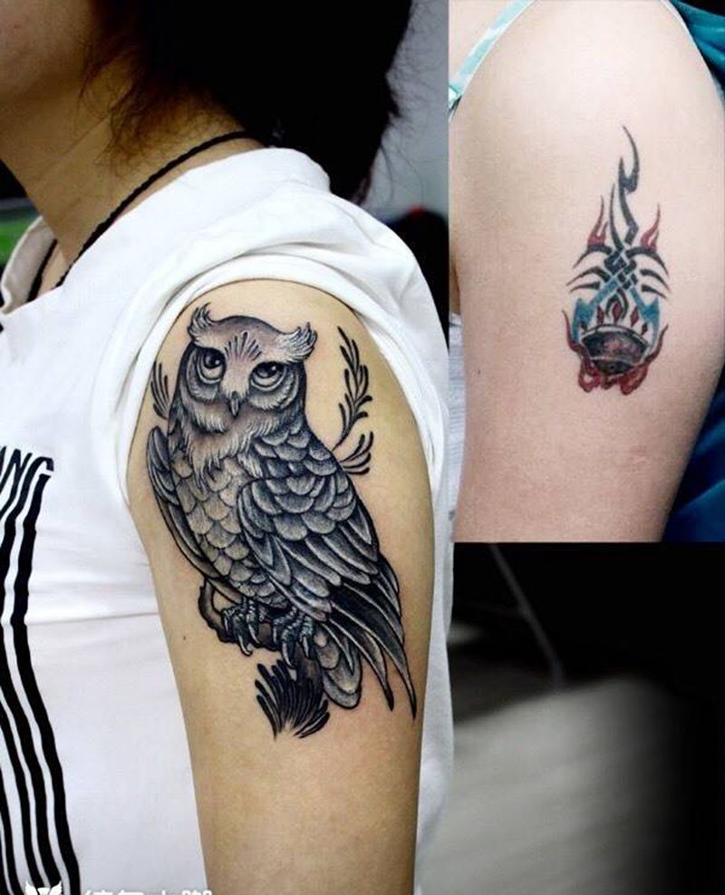 手臂猫头鹰遮盖纹身图片_成品手臂动物写实纹身图案