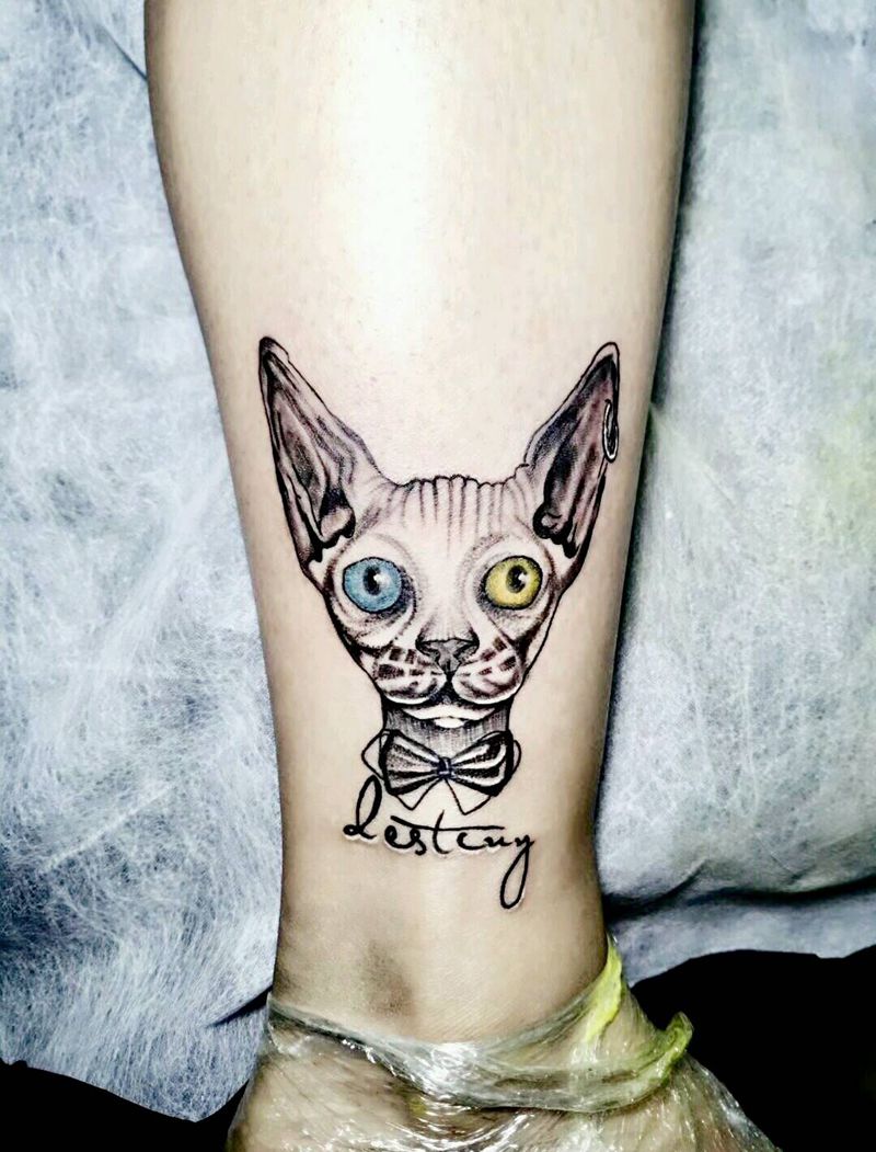 猫纹身图片