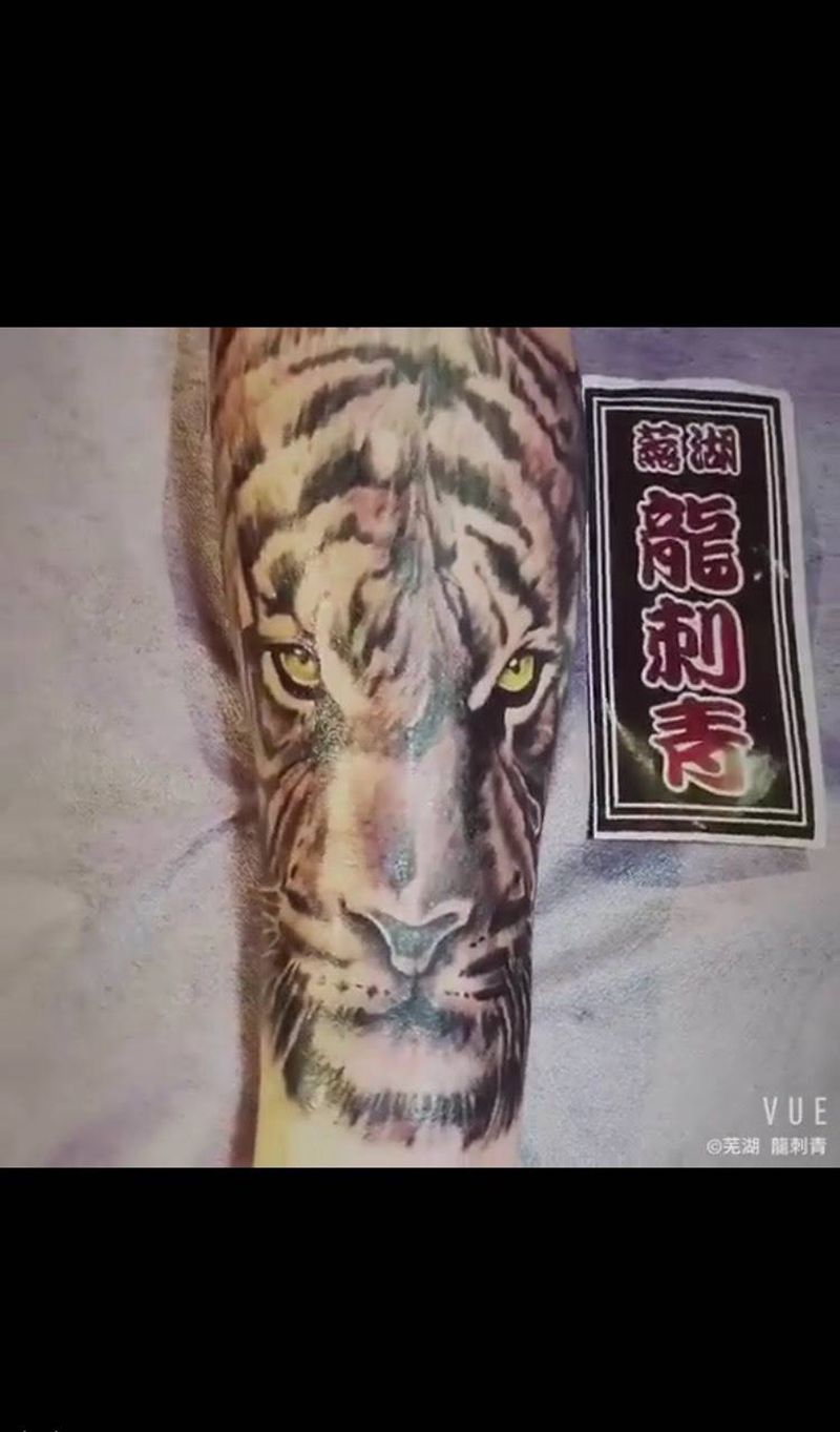 老虎纹身图片