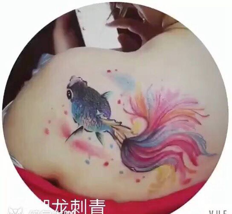 鱼纹身图片
