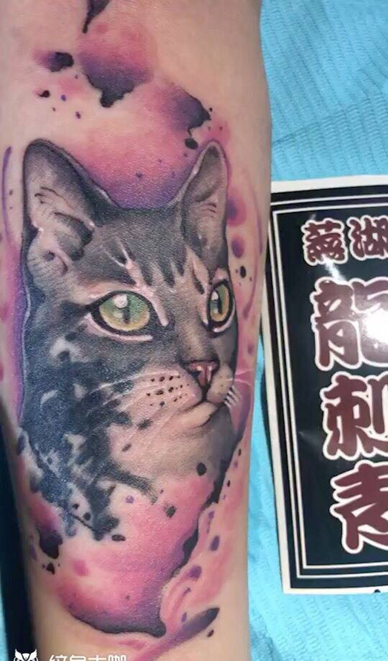 猫纹身图片