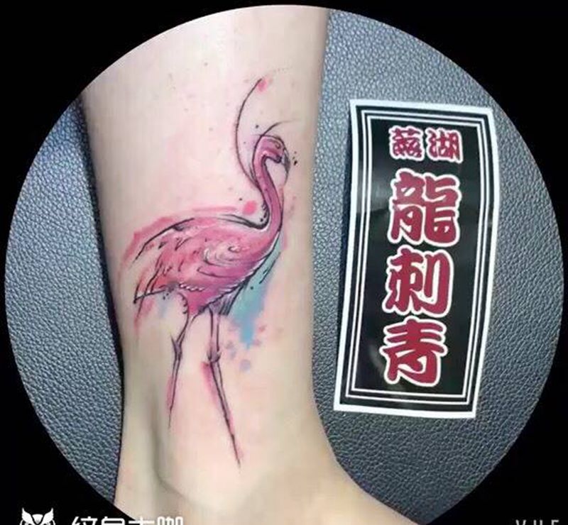 火烈鸟纹身图片