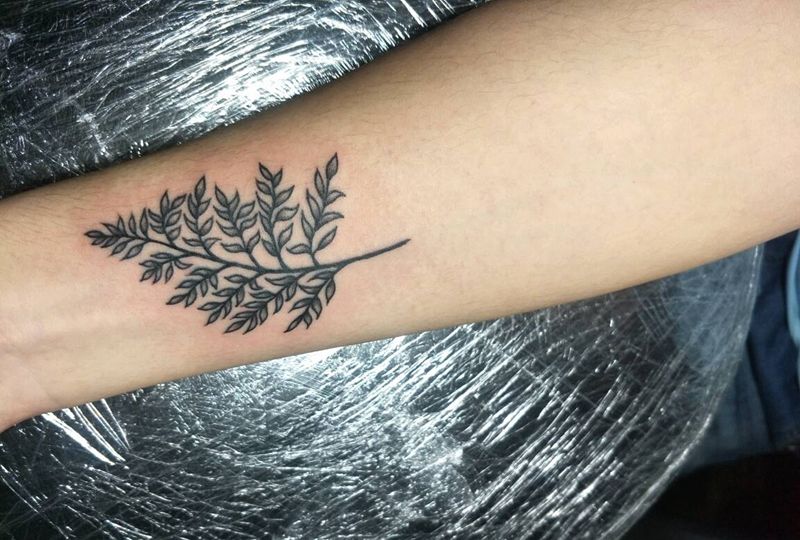 树叶，纹身图片