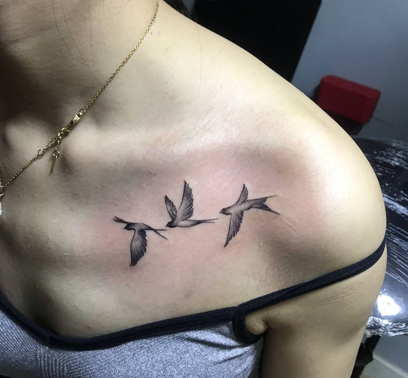 燕子纹身图片_胸部纹身图案