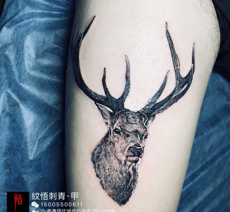 麋鹿纹身图片_写实成品腿部动物纹身图案