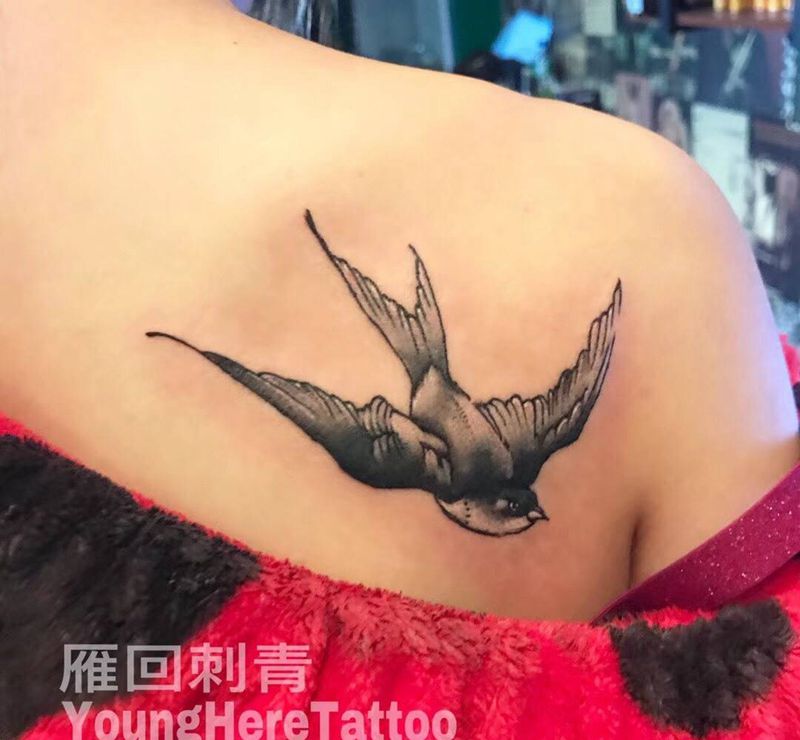 高级灰-燕子纹身图片
