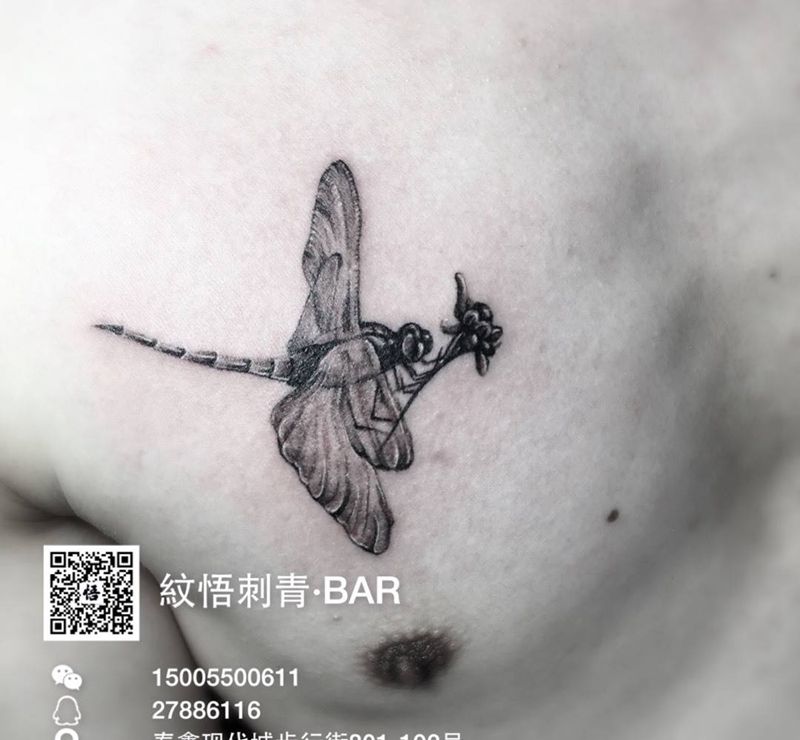 蜻蜓纹身图片