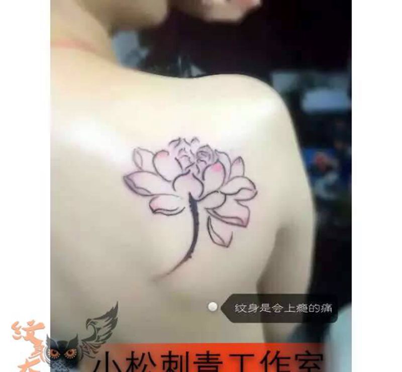 淡雅荷花纹身图片