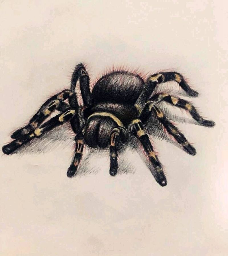 随便画画纹身图片