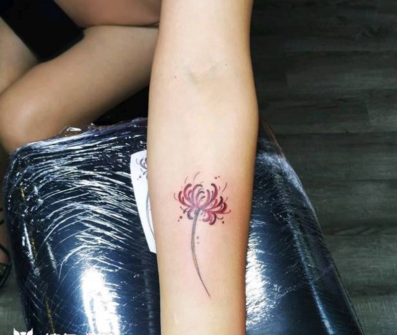小臂彼岸花，第二次做这个图纹身图片_手臂水彩彼岸花小臂纹身图案