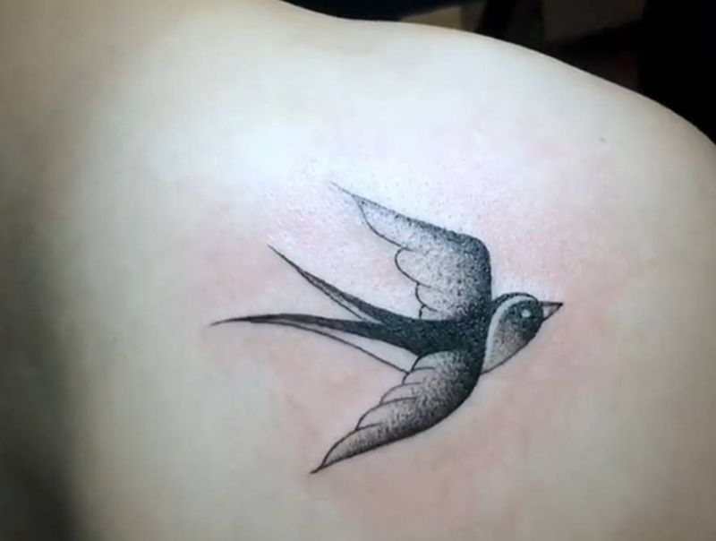 燕子纹身图片_背部纹身图案