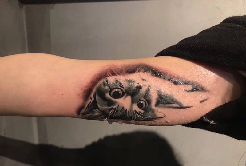 猫纹身图片_手臂写实欧美动物纹身图案