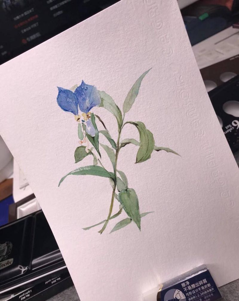 原创水彩纹身图片