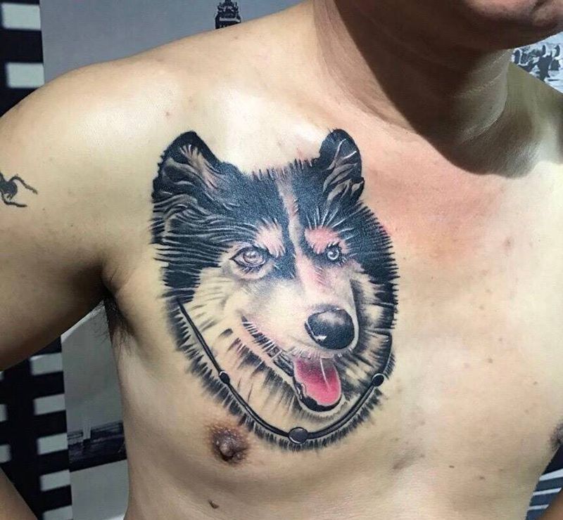 哈士奇纹身图片