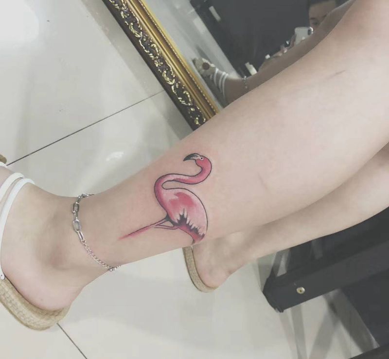 火烈鸟纹身图片