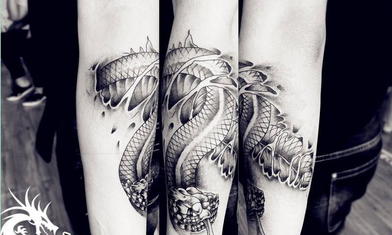 小臂蛇纹身纹身图片