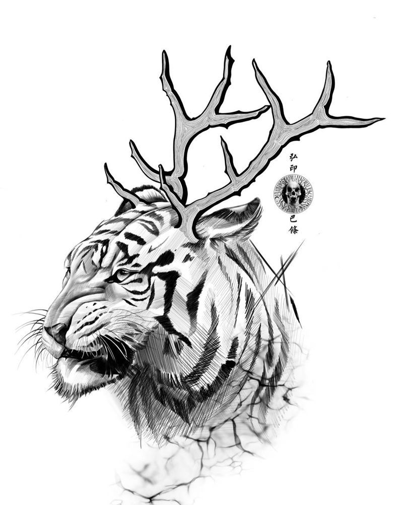 鹿虎(稿)纹身图片_手稿欧美写实动物原创纹身图案