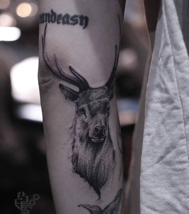 freehand~纹身图片