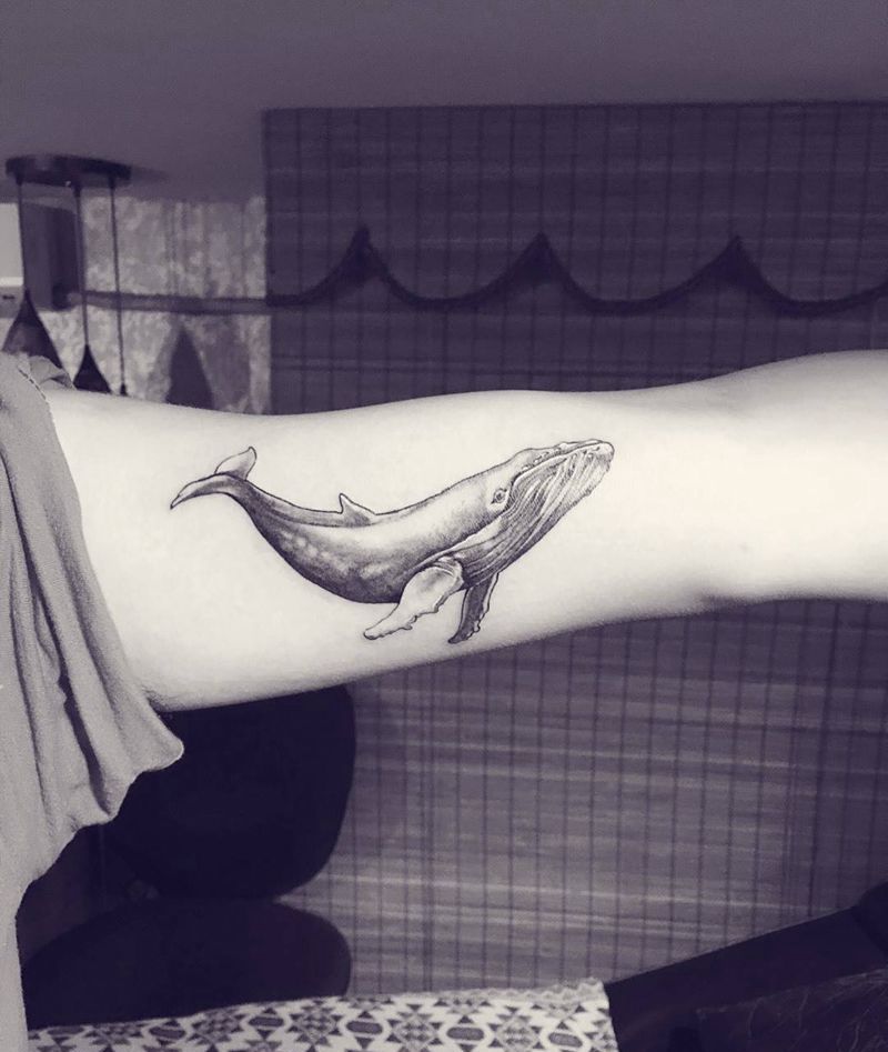 座头鲸纹身图片