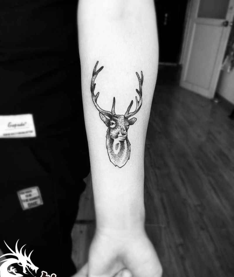 点刺鹿纹身图片