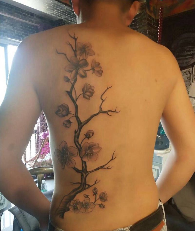 常青树纹身图片