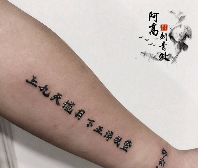 上九天揽月 下五洋抓鳖纹身图片