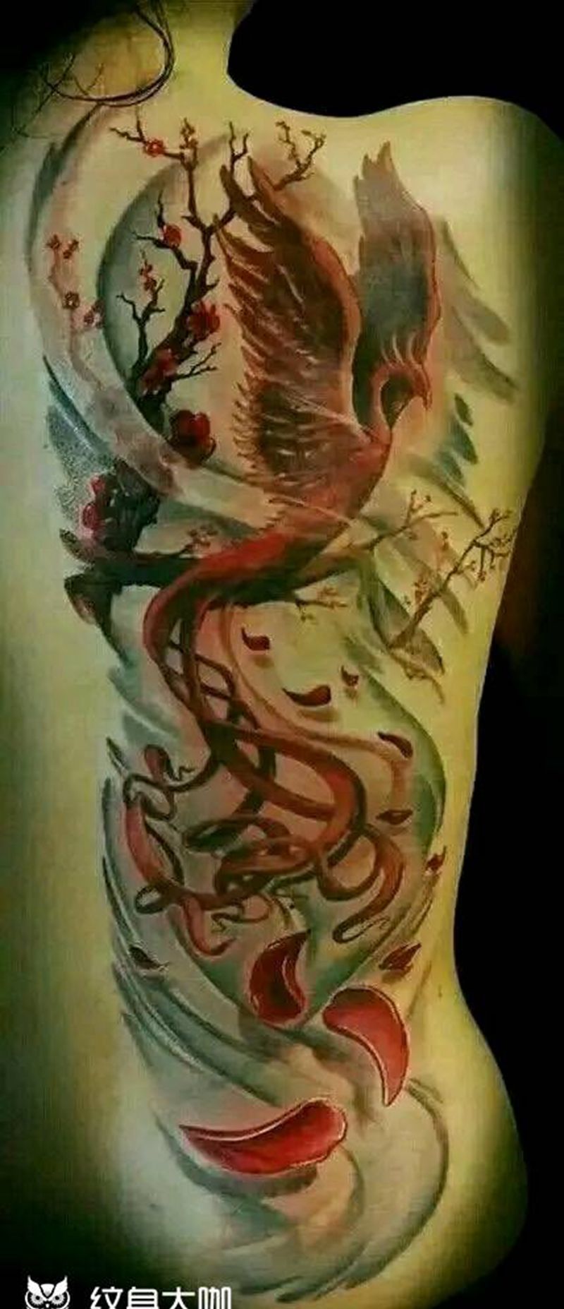 朱雀梅花。纹身图片