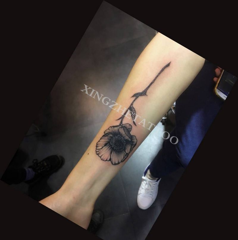 罂粟花纹身图片