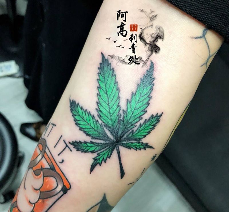 School彩色枫叶纹身图片