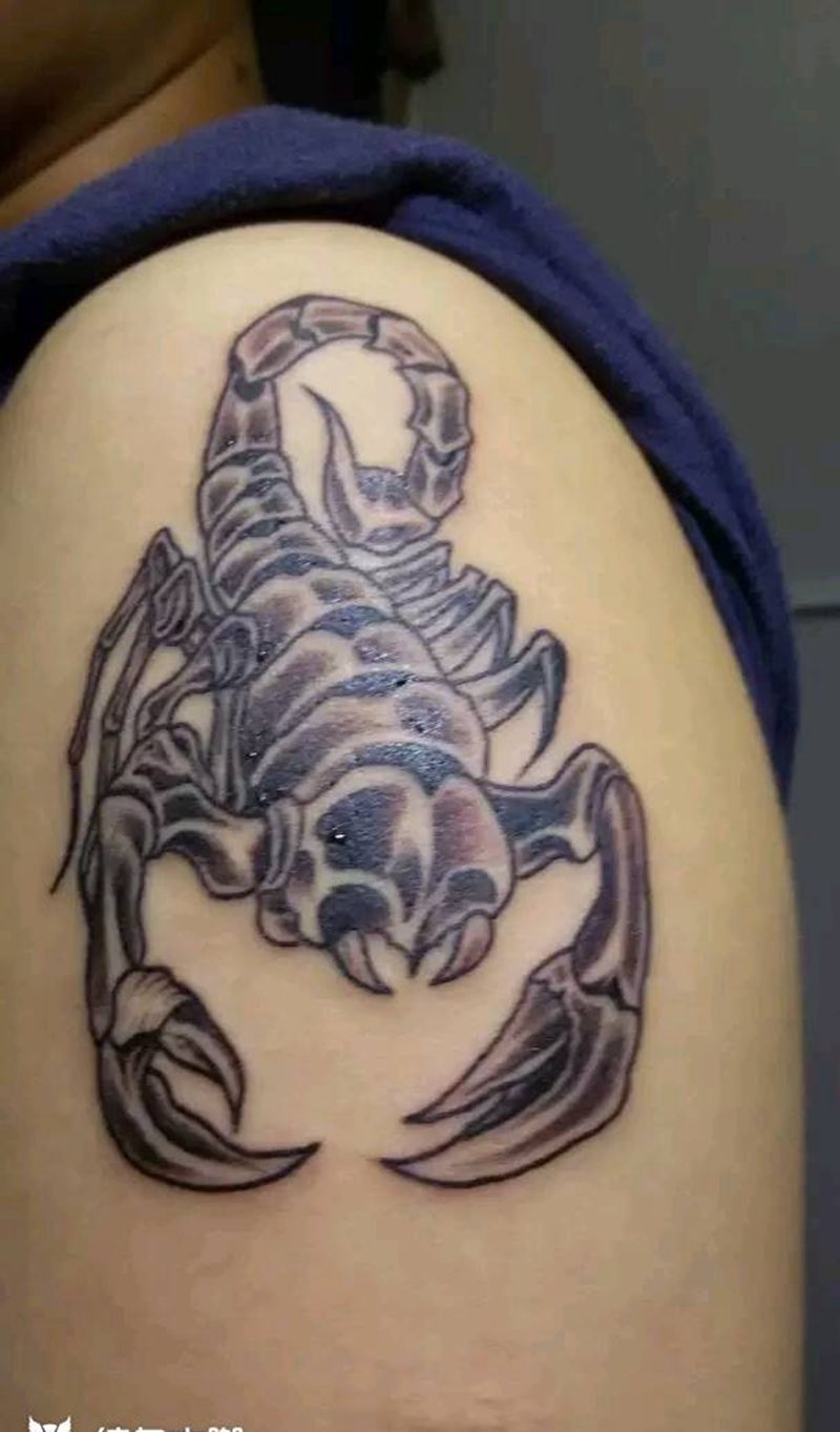 蝎子。纹身图片_蝎子。纹身图案