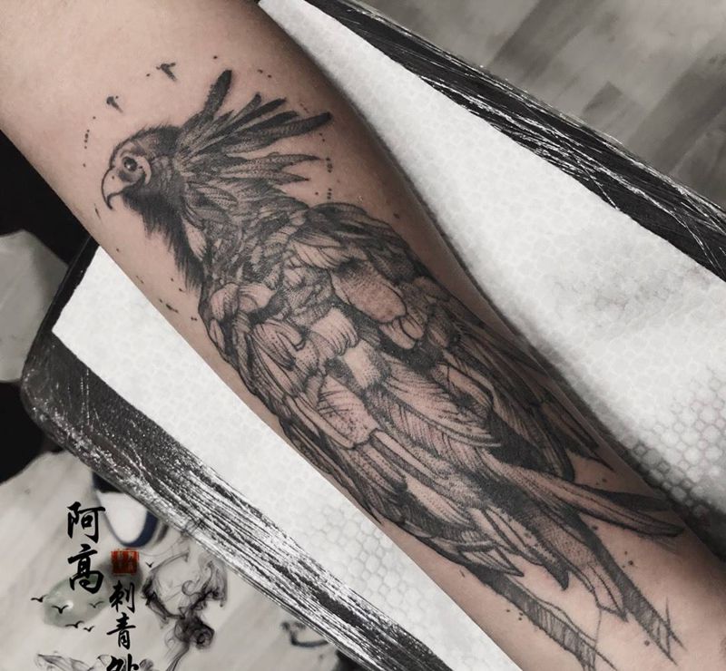 秃鹫纹身图片
