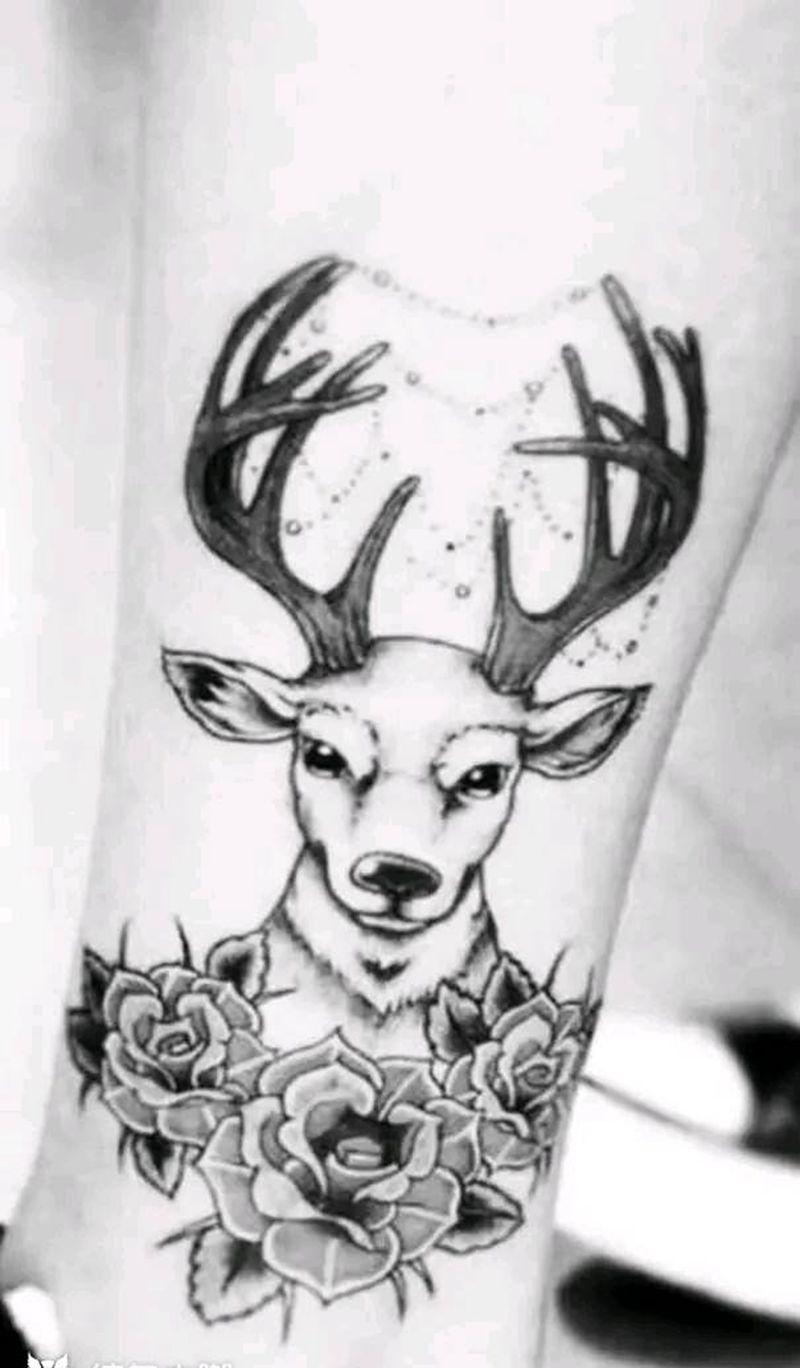 鹿头玫瑰。纹身图片