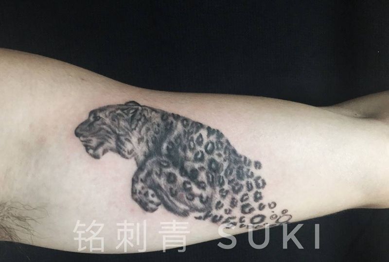 花豹纹身图片