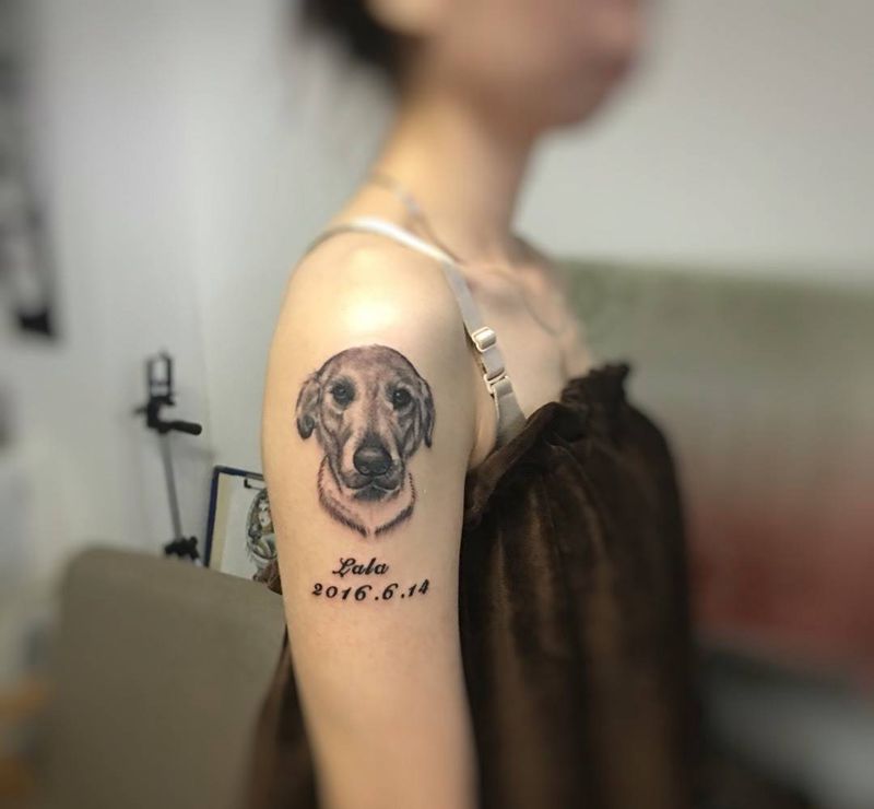 写实拉布拉多纹身图片