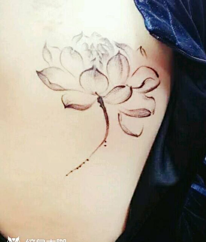 莲纹身图片_肩部国画植物成品纹身图案