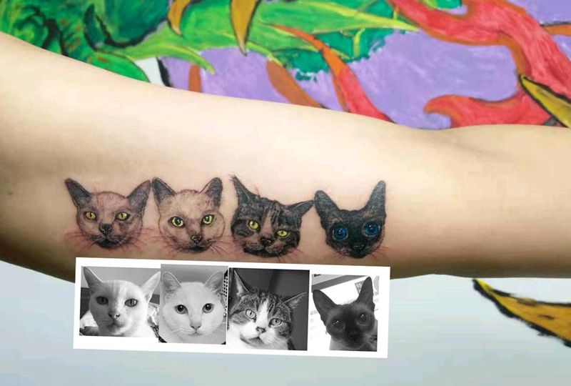 猫头纹身图片_手臂欧美写实小清新纹身图案