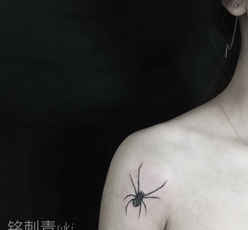 迷你蜘蛛纹身图片