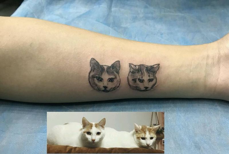 猫头纹身图片_手臂欧美写实猫头纹身图案