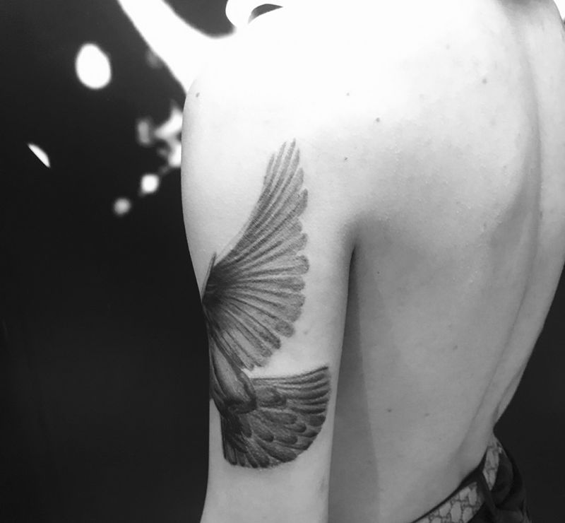 鸽子未完成纹身图片