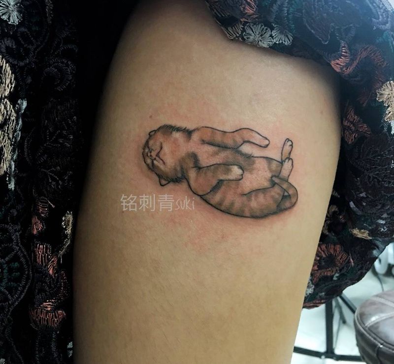 客人的橘猫纹身图片