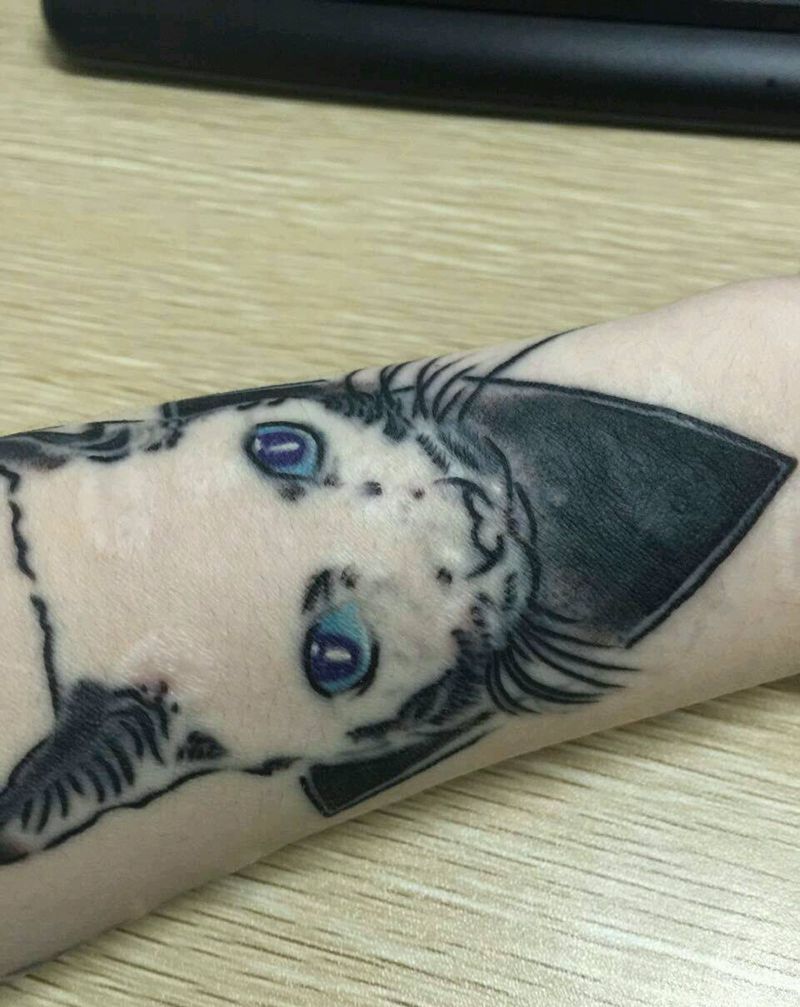 猫遮盖疤痕小臂纹身图片_手臂欧美动物成品纹身图案