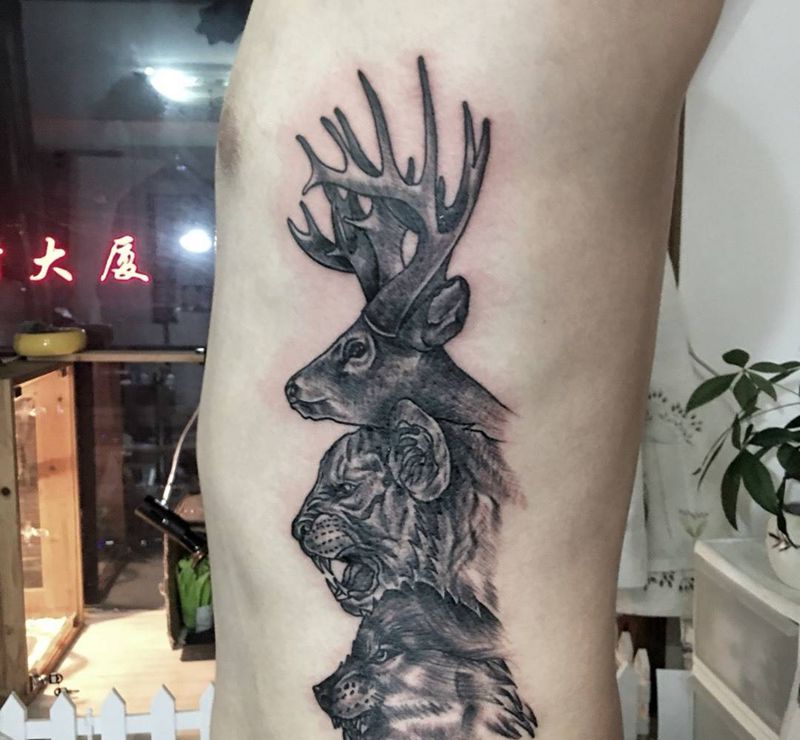 插画改欧美暗黑风格纹身图片_成品腰部欧美动物纹身图案