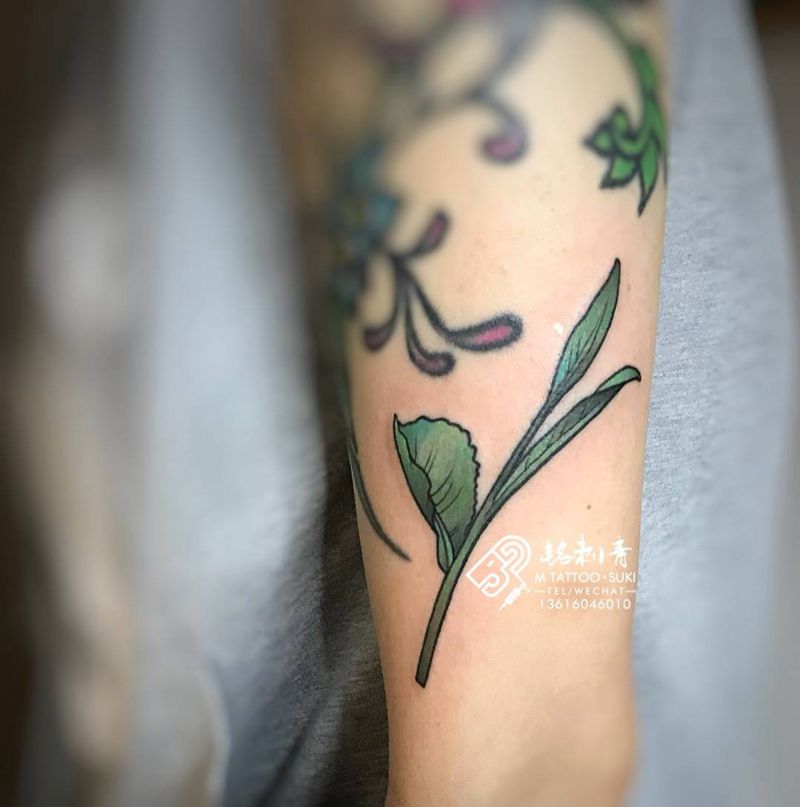 定做茶树嫩芽纹身图片