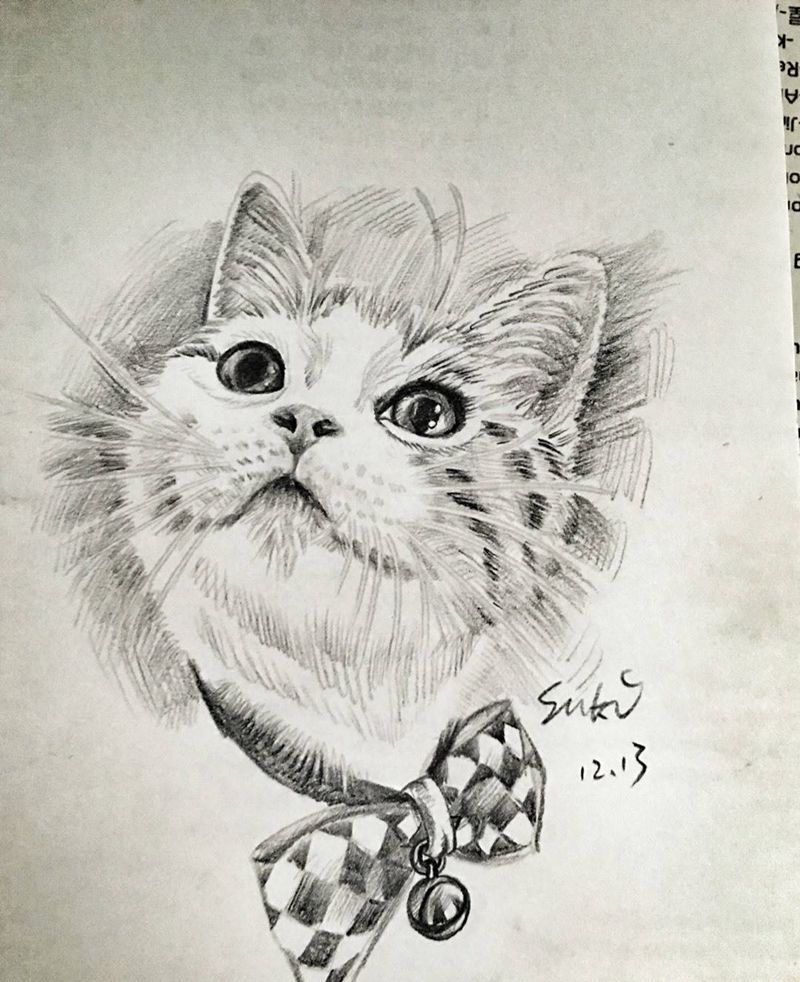 客定写实猫咪纹身图片_手稿手臂欧美肖像动物原创纹身图案