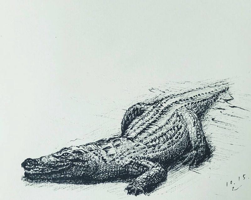 鳄纹身图片_写实动物原创手稿纹身图案