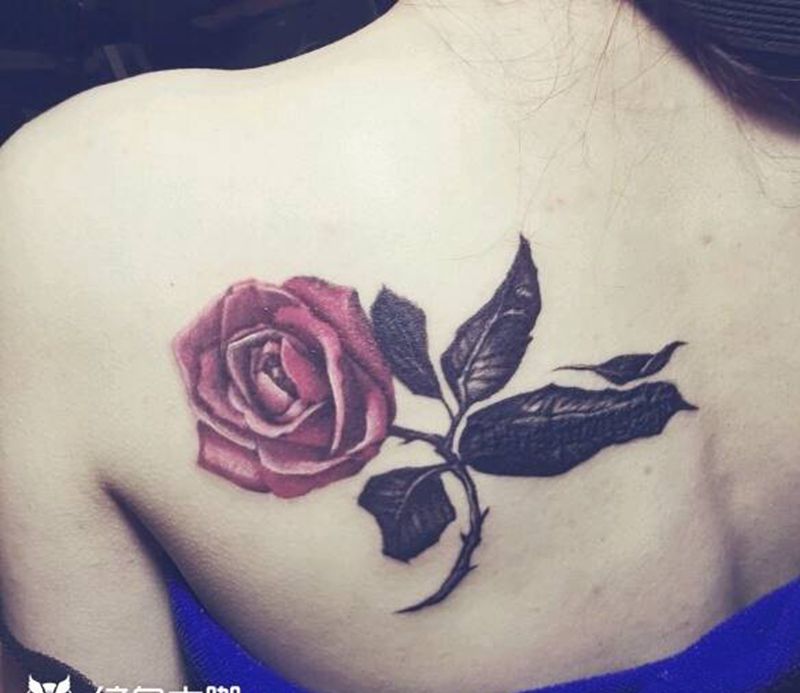 玫瑰盖图纹身图片_背部清新植物成品纹身图案