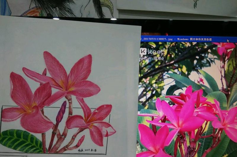 不知名的小花纹身图片_植物原创成品手稿插画纹身图案